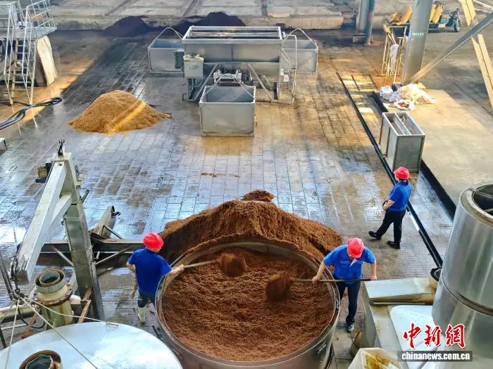 7月13日，古通内蒙古蒙古王实业股份有限公司酿酒车间内，辽实工人正在忙碌作业。业兴罗一坤 摄